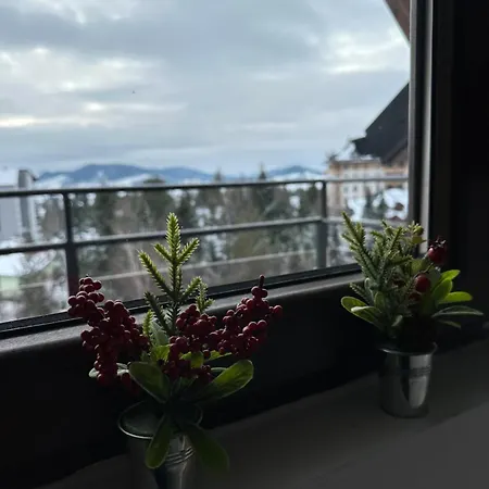 Quattro Due Pogled *