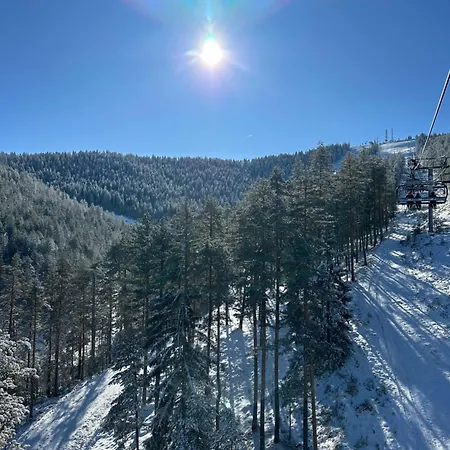 Quattro Due Pogled *