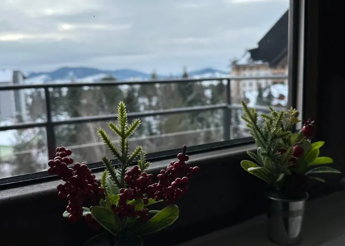 Quattro Due Pogled *